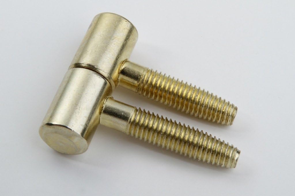 2 Screw-in Hinge, Brass-Plated, 13 mm