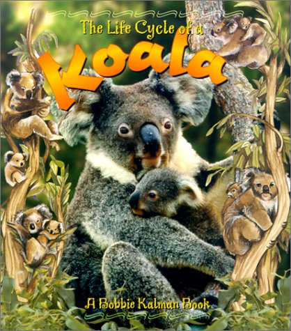The Life Cycle of a Koala