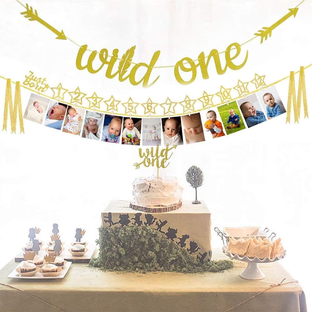 Floratek 1st Birthday Decorations for Boys Girls 12 Month Photo Banner for First Birthday Baby First Year Picture Banner Baby Shower Gift with Cake Topper"ONE" Glitter Banner Wild One (Golden)