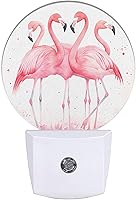 Vista 15 de EKOBLA Luces nocturnas con forma de gato y mariposas, enchufables a la pared, mariposa en la nariz del gato, lindas luces nocturnas enchufables