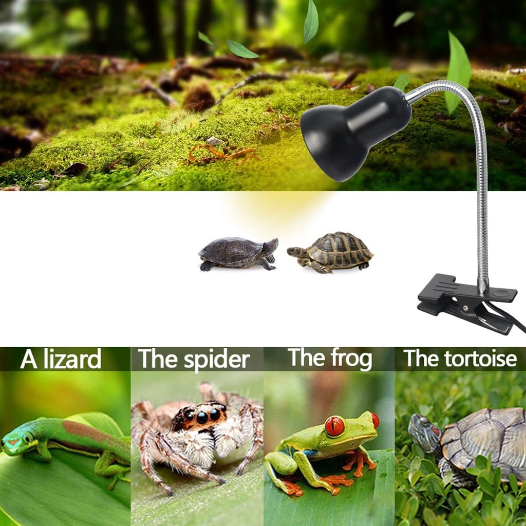 Lampada Riscaldante per Rettili Lampada Tartaruga Lampada Termica per Rettili da 50 W UVA UVB, con Clip Ruotabile a 360 °, Lampada Termica per Animali Domestici per Rettili, Pesci (Color : 2pcs)