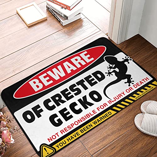 Tapis de porte gecko à crête extérieur et intérieur Dsoluuing 65x90 cm - 2