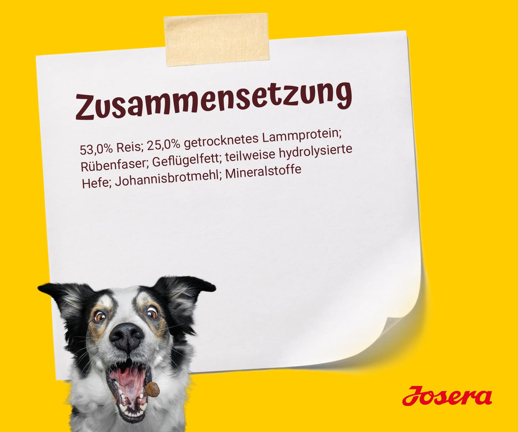 JOSERA Jagnięcina i ryż (1 x 12,5 kg) | Karma dla psów z jagnięciną jako jedynym zwierzęcym źródłem białka | Sucha karma premium dla dorosłych psów | 1 szt. w opakowaniu