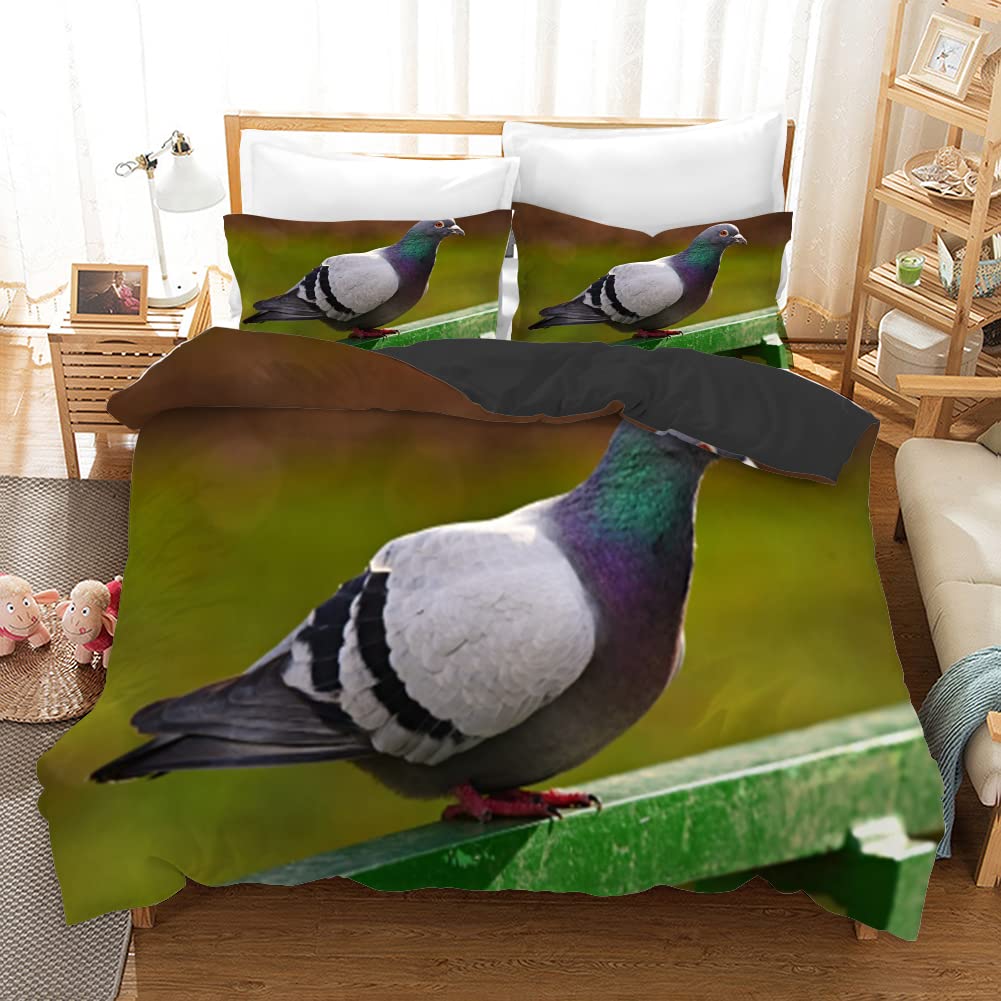 Housse de couette 240 x 260 microfibre pigeon cyan avec parure de lit 3 pièces
