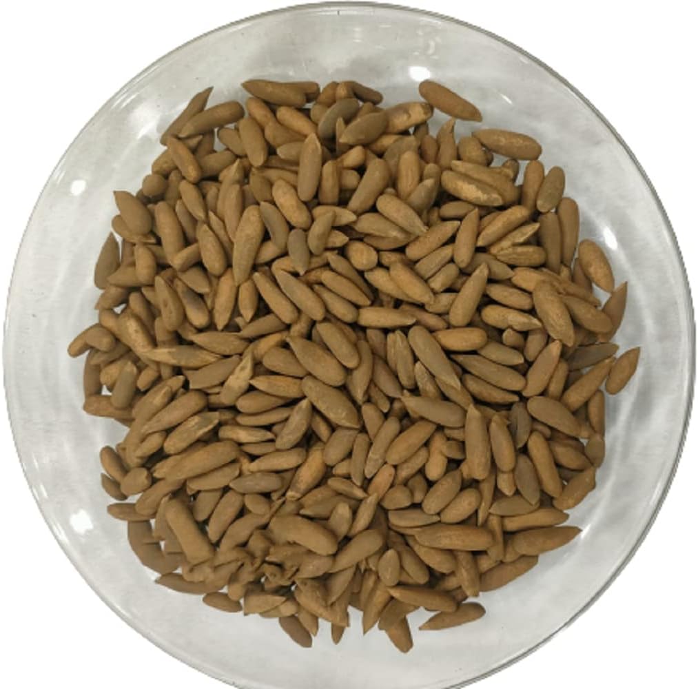 Pine Nuts In Shells- Chilgoza - premium Quality, Fresh Pine nuts (500)