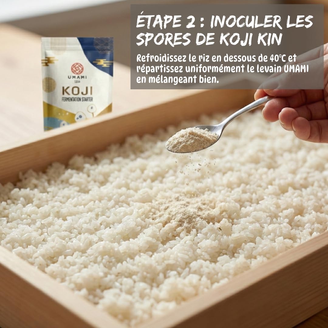 Umami Koji Kin Japonais 50g - Spores Starter pour Fermentation (Aspergillus Oryzae) - Idéal pour Miso, Saké, Amazake et Shio Koji