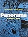 Panorama: A Foldout Book