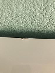 Customer Image, click to open customer review