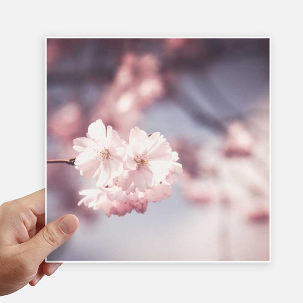 Calcomanía de flores rosa blanca vinilo para pared portátil y moto DIYthinker 20x20 cm