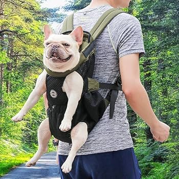 frenchie mochila bulldog frances