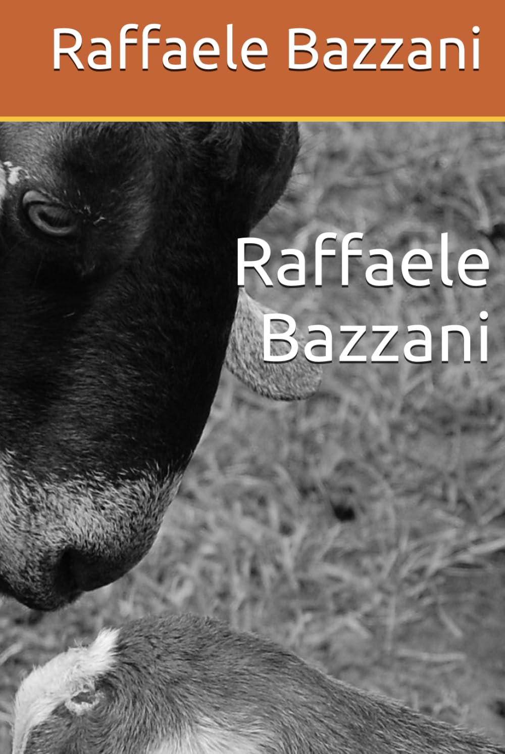 Raffaele Bazzani