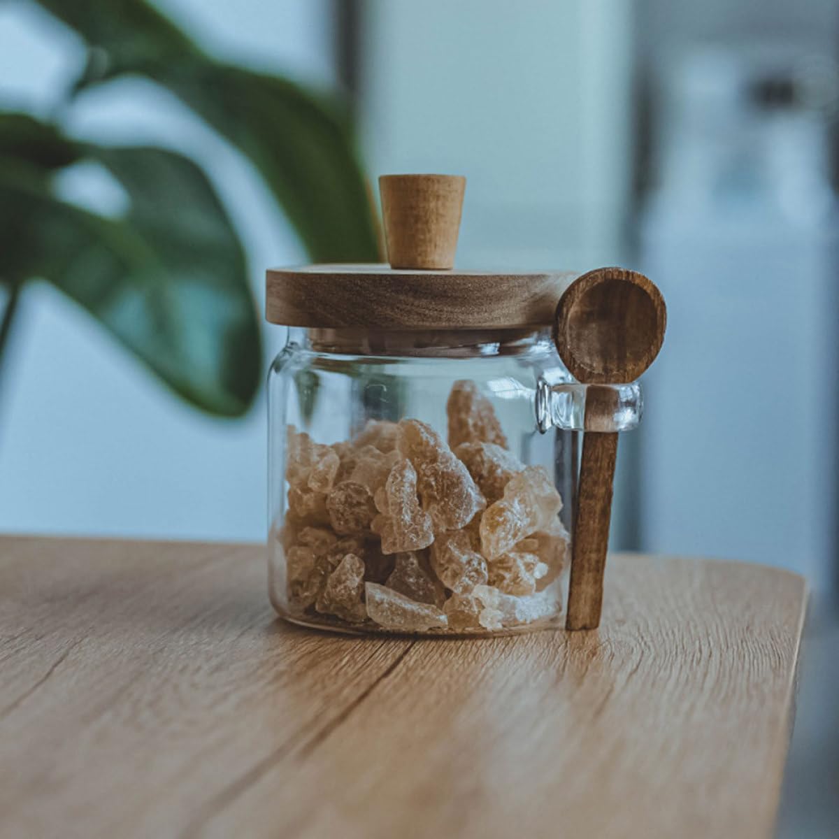 GALPADA Juego de 3 Frascos de y Capacidad 850ml, 550ml y 400ml para Especias con Tapa y Cuchara, Tarros de Condimento Herméticos Diseño Simple para Cocina