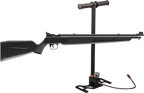 Crosman C3622SKT Rifle de aire PCP calibre .22 con bomba de mano