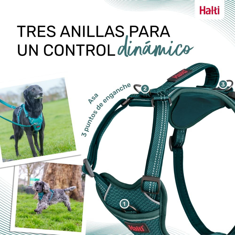 Arnés de perro HALTI Anatomy con asa - Proporciona libertad de movimiento a tu perro para que pasee cómodamente. 3 puntos de enganche y acolchado de neopreno y ajustable (Talla XS, Verde Azulado) — view 5
