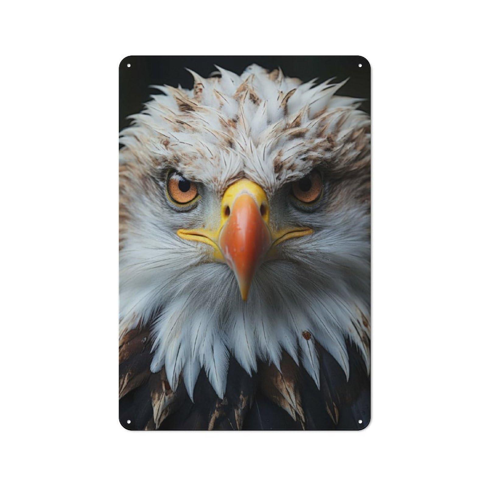 Junmoney Cool Eagle Portrait Shed Style Metal Wall Decor 30X20cm, Tin Sign For Conservatory, Home Bar Or Utility Room