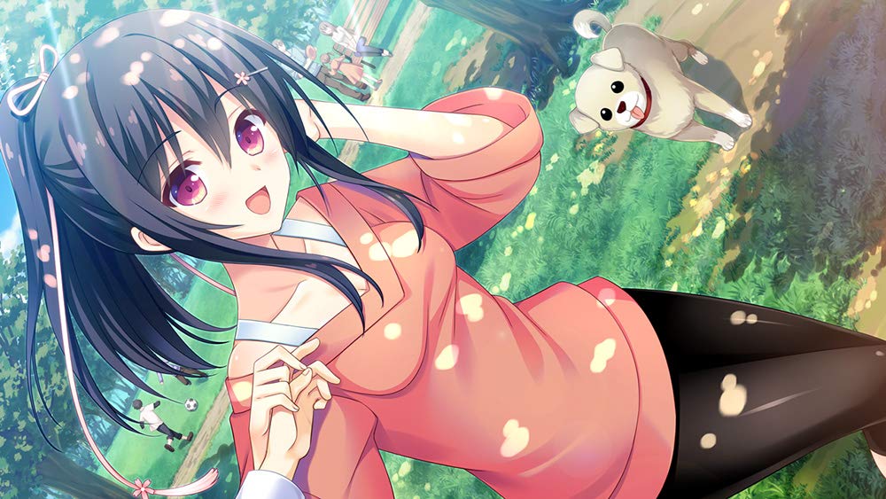 かりぐらし恋愛 通常版 - PSVita Amazon.co.jp: かりぐらし恋愛 通常版 - PSVita : Video Games