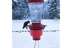 Hummingbird Feeder Heater for Winter Outdoors, Heated Hummingbird Feeders for Outdoors