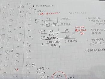 Amazon.co.jp: 駿台 21年 渡辺先生 通年 東大世界史論述対策