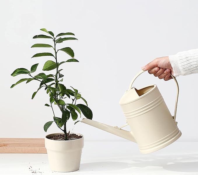 The Flower Watering Can is a specially designed watering can with a stylish and functional design to easily water your indoor plants and flowers. It typically has a narrow spout to allow for precise watering without causing water to splash everywhere. The sturdy construction of a flower watering can ensures durability and ease of use for regular plant care.