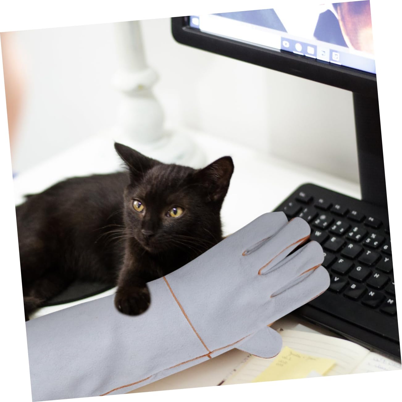 1 Paar Haustier-Anti-Biss-Handschuhe, bisssichere Hundehandschuhe, Fütterungshandschuhe, Haustier-Badehandschuhe, Haustier-Schutzhandschuhe, Fellpflege-Handschuhe, Stulpen, kosmetische Leder-Anti-Hand