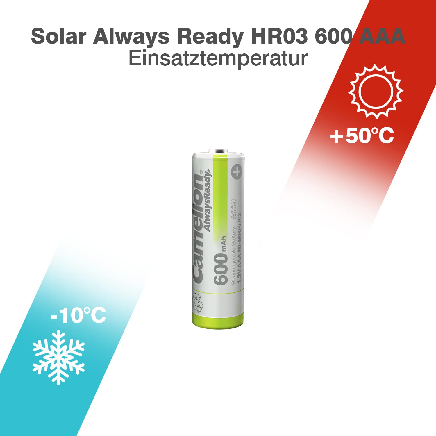 6 Camelion D Più Batterie Alcaline LR20 MN1300 AM1 E95 1.5V 2BL Exp 2028 Nuovo E - Foto 5