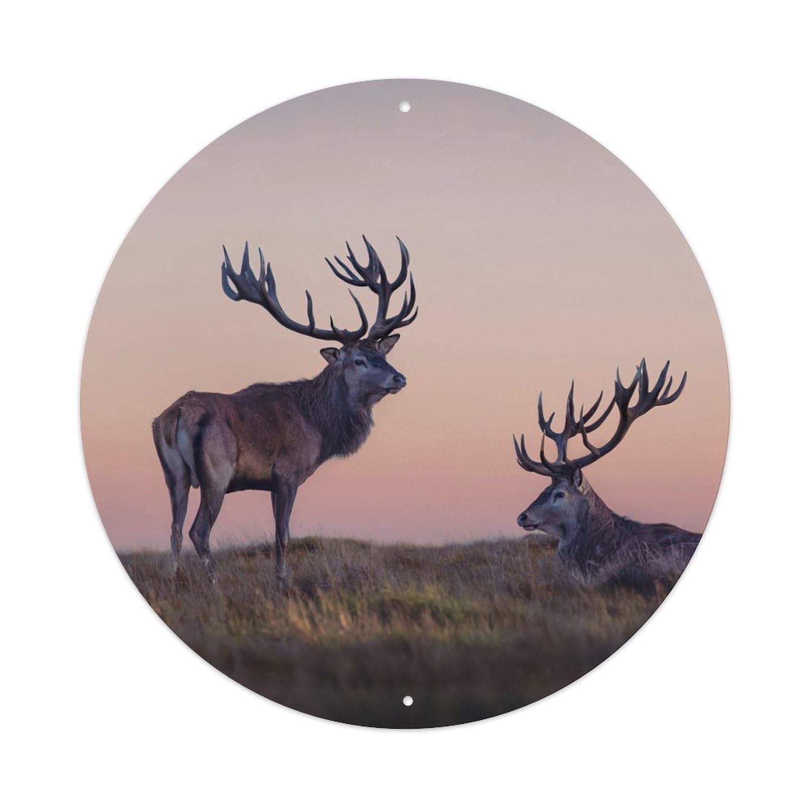 Two Elk Sunset Wildlife Landscape Photography Metal Tin Sign