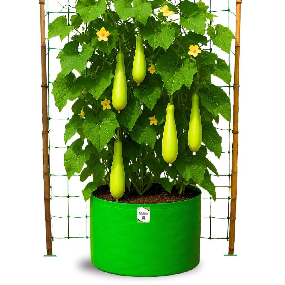 Big Fruit Plant Grow Bags - Organic Bazar (Pack of 2) -14 Big Fruit Plant Grow Bags - Organic Bazar (Pack of 2) -14