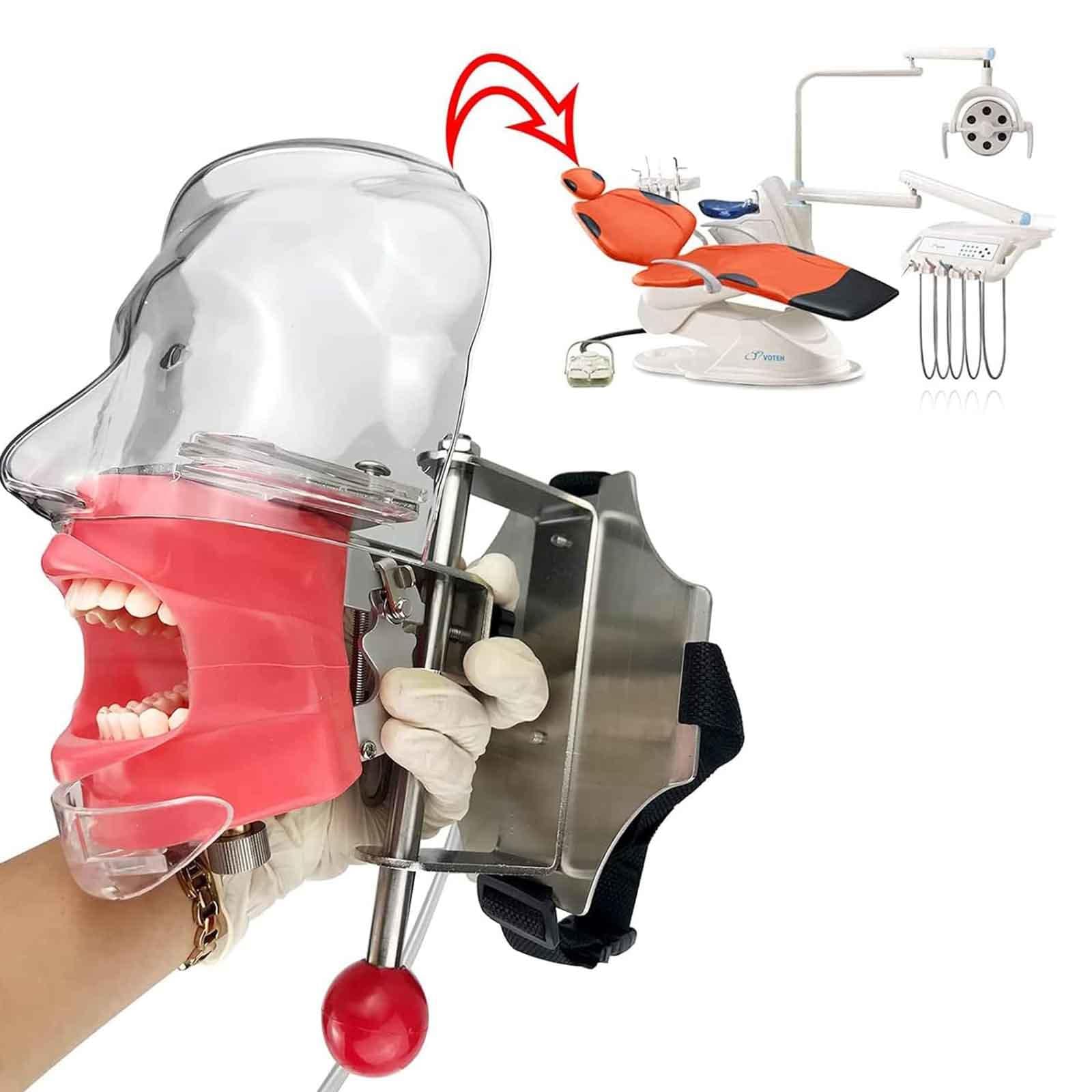 Tête Fantôme de Simulateur de Mannequin Dentaire – avec Modèle de Dents de Typodont Fixé sur Une Chaise, émulation élevée 1:1 Réglable à 360 Degrés pour Les écoles Dentaires, Formation