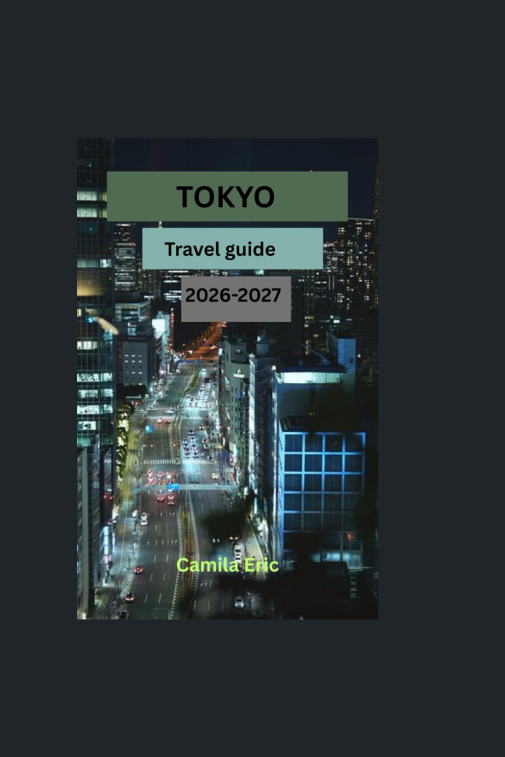 Tokyo travel guide 2026-2027