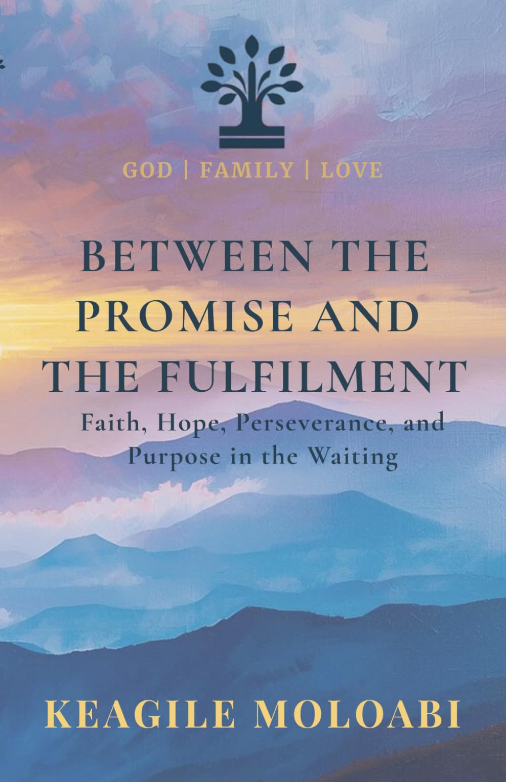 Between the Promise and the Fulfilment: Faith, Hope, Perseverance, and Purpose in the Waiting