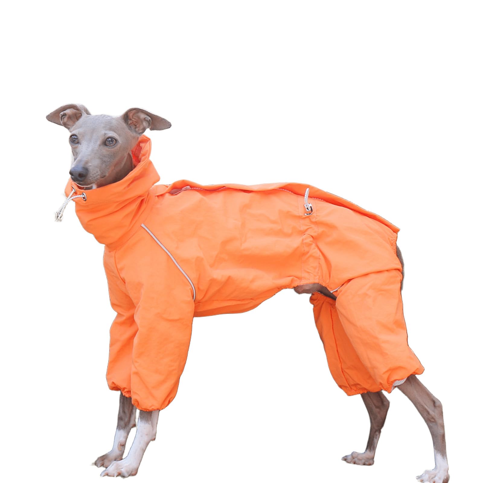 Manteau de pluie pour chiens de taille moyenne à col réglable et 4 jambes