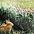 YARDGARD Welded Wire 2X3 Inch Mesh 36 Inch X 50 Foot 16 Gauge Galvanized Steel Wire Fence Ideal for Animal Enclosures, Cage Wire, Property Protection, Garden Fence, Rabbit Fence, and Utility Fence