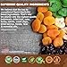 Vodka Infusion Kit - Liquor Quik Infuser Cocktail Mixer Kitchen Set with 3 Unique Vodka Infusing Packets. - Premium Ingredients for making Exotic Drinks - Mixology Bar Tool - Alcohol Not Included