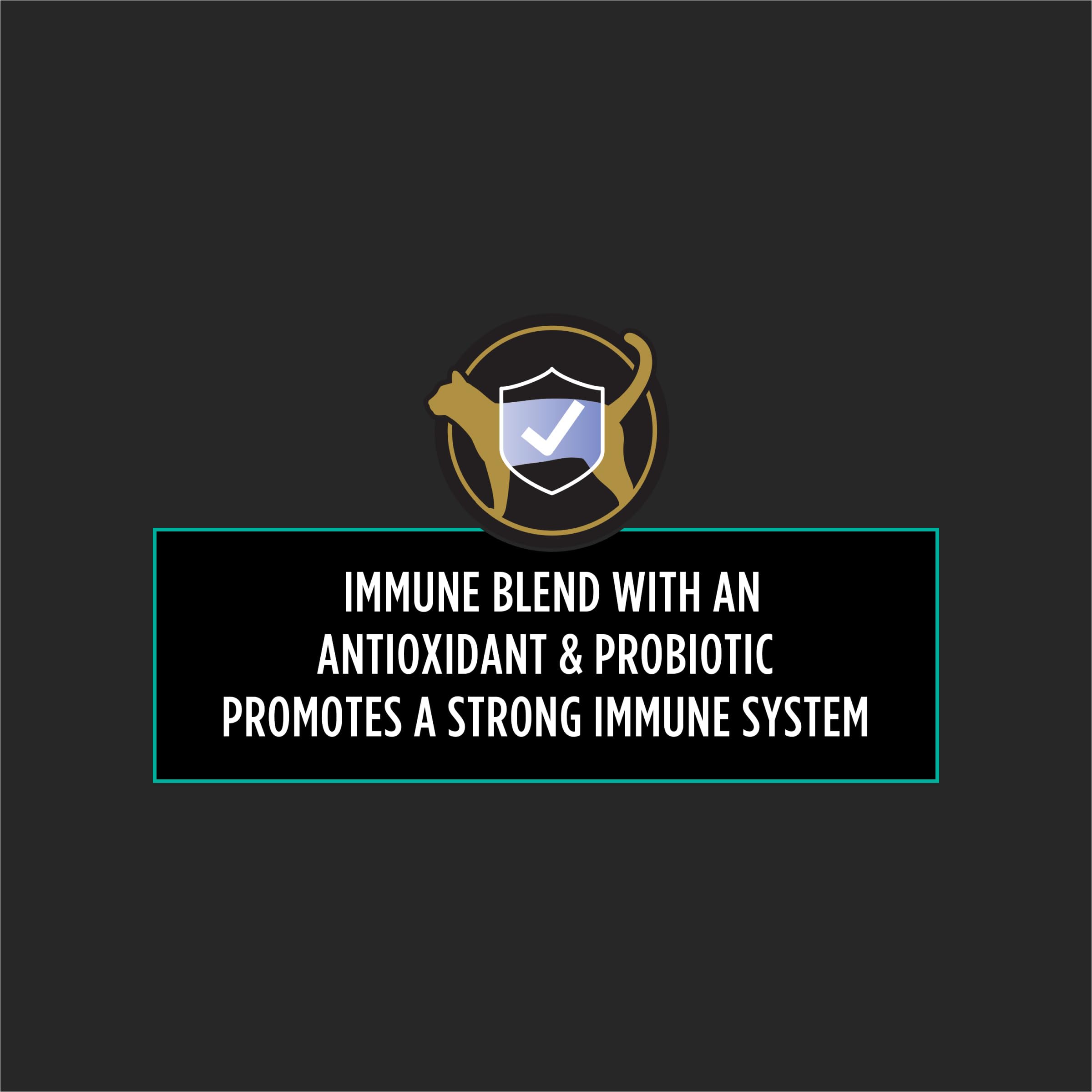 Buy Purina Pro Plan FortiFlora Feline Probiotic Cat Supplement 30... Buy Purina Pro Plan FortiFlora Feline Probiotic Cat Supplement 30...