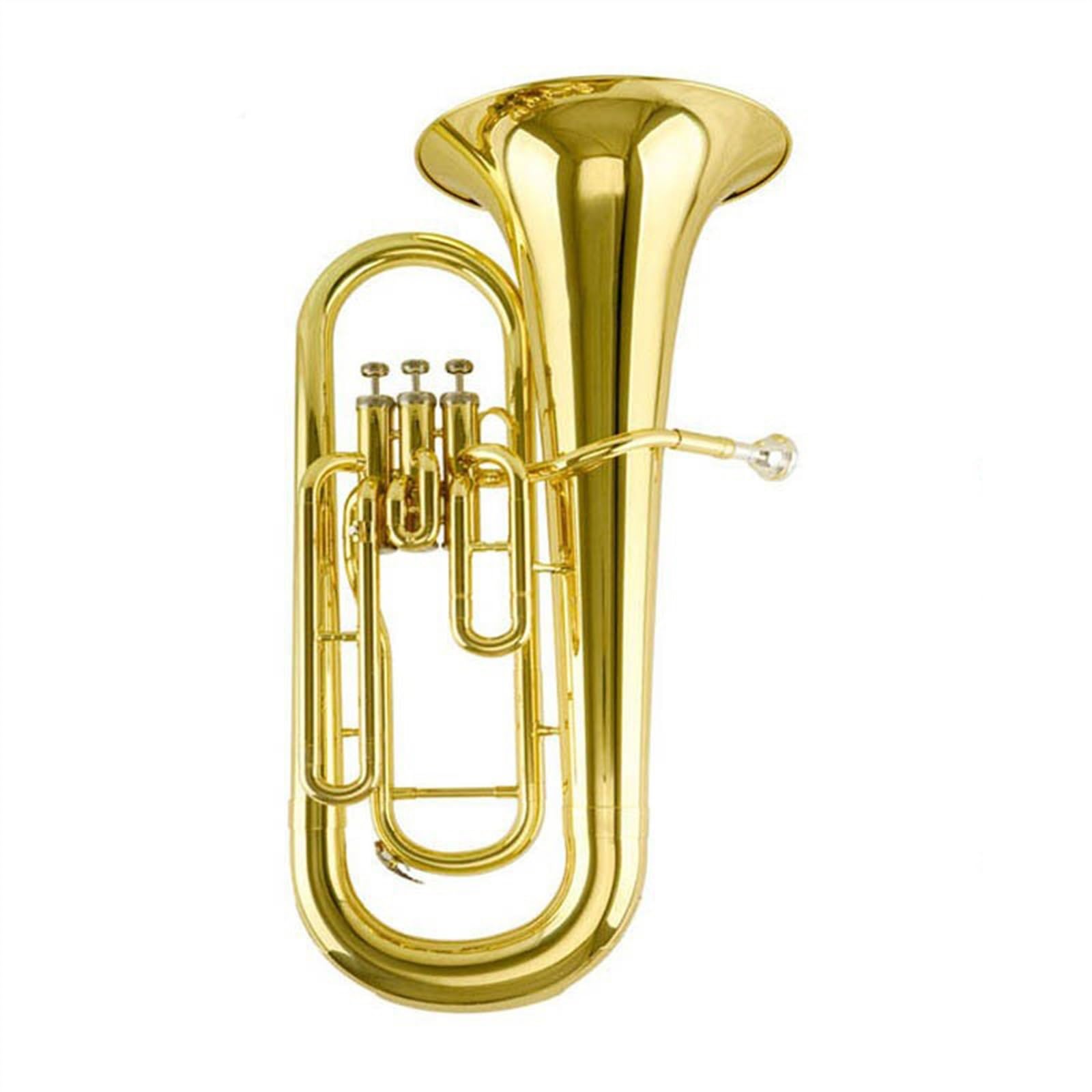 Débutants euphonium Euphonium À Clé Plate B Pour Les Performances D'un Groupe Adulte
