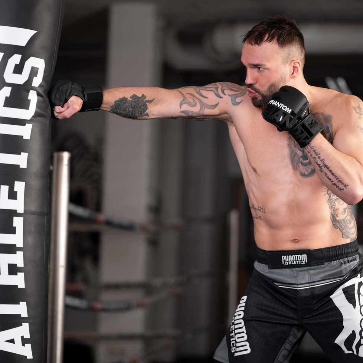 Phantom MMA Handschuhe APEX | Profi Gloves für Fight, Sparring, Boxen, Freefight
