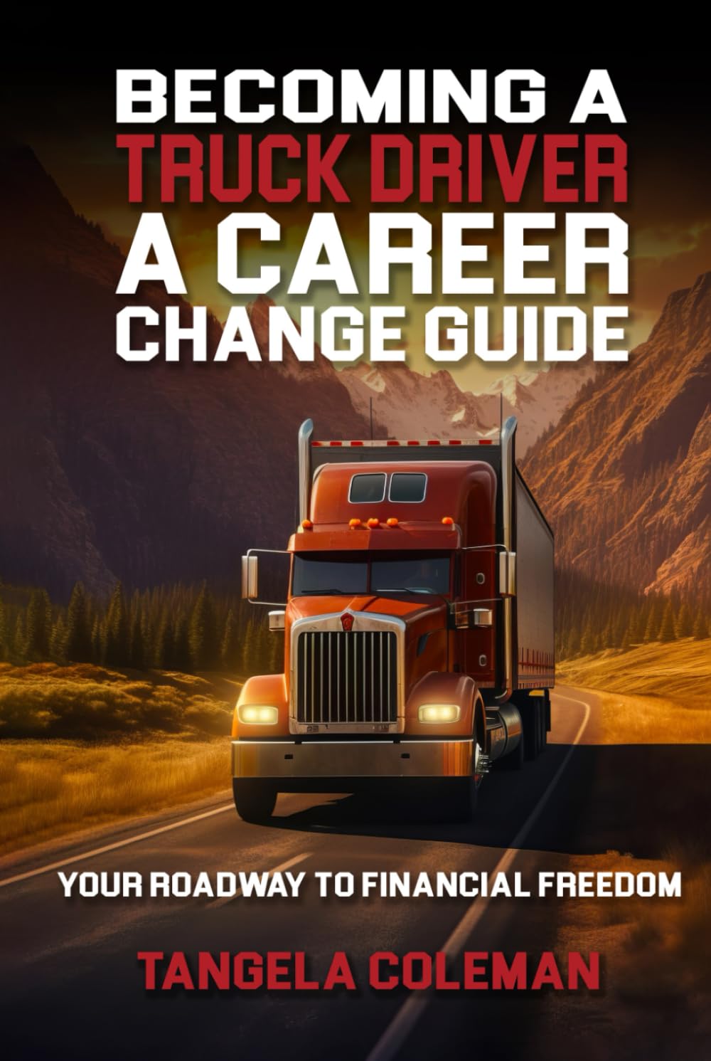 Becoming A Truck Driver: A Career Change Guide: Your Roadway To Financial Freedom