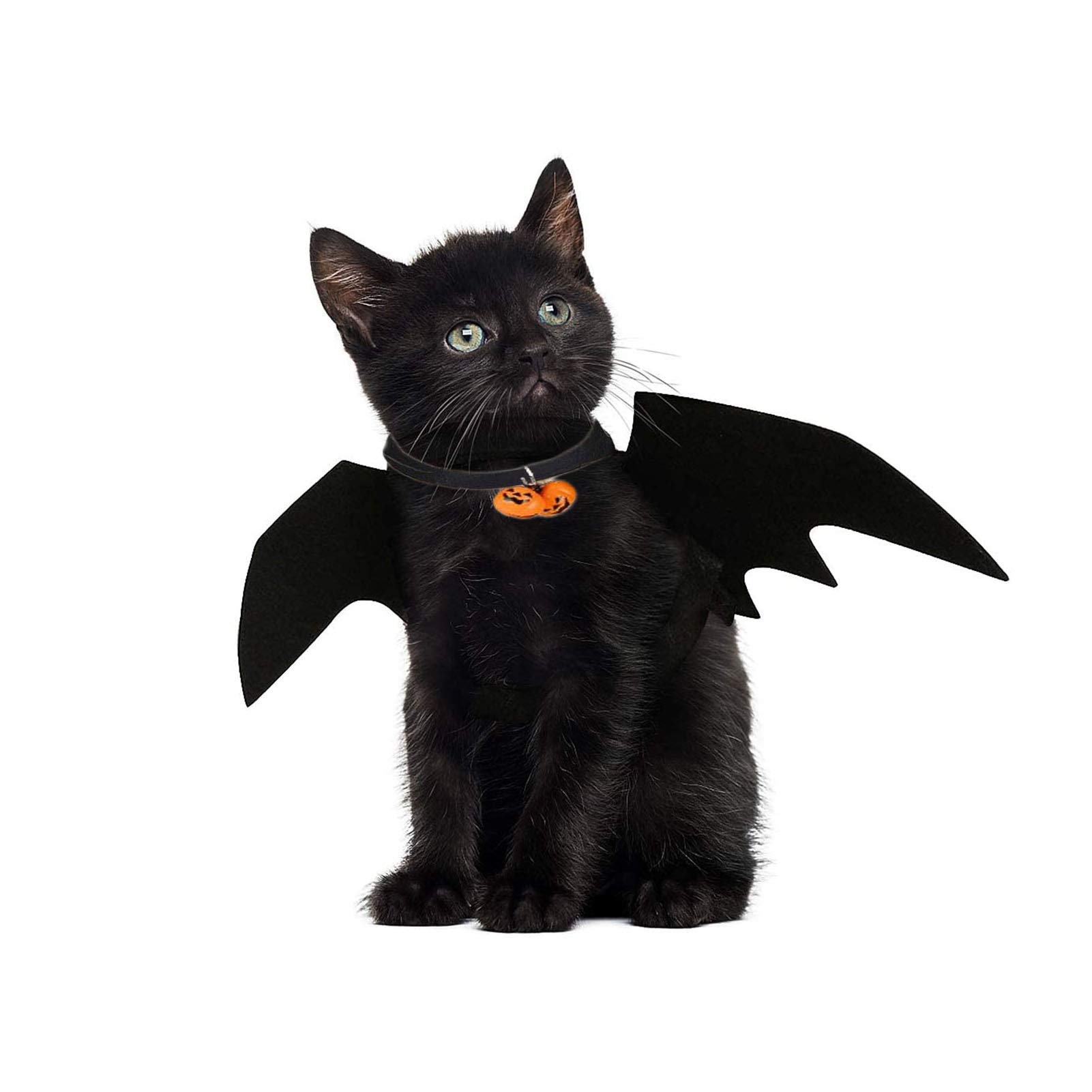 JIASHA Alas de murciélago para mascotamascota de Halloween Disfraz de murciélago Negro para Gato decoración para Mascota Gato Perro Accesorios de Disfraces de Halloween