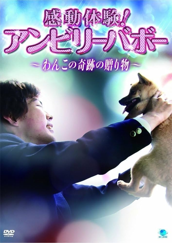感動体験!アンビリーバボー~わんこの奇跡の贈り物 [DVD] Amazon.co.jp: 感動体験！アンビリーバボー〜わんこの奇跡の