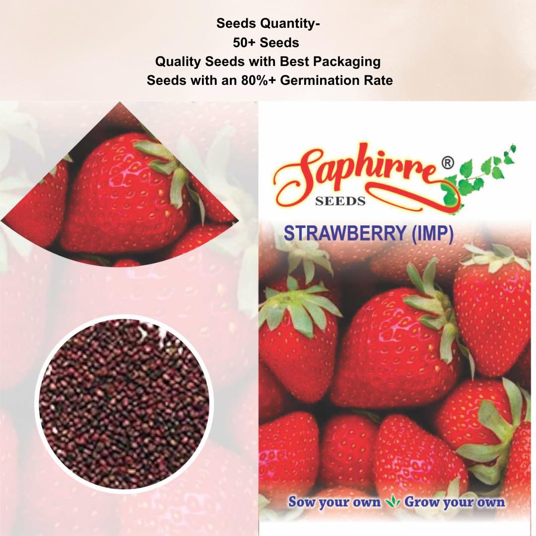 Saphirre Seeds Strawberry Seeds | 100+ Seeds | High Germination | Easy to Grow Fruit Seeds for Home Gardening | Ideal for Pots, Balcony, Terrace & Grow Bags 4