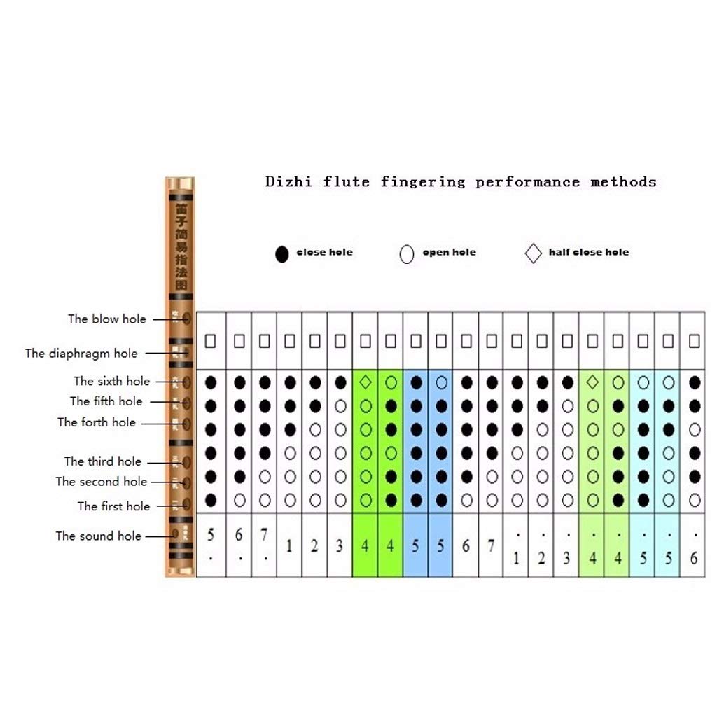 Flauto C Key Black Bamboo Flauto e Linea Trasparente Cinese Tradizionale Strumento Musicale Strumento a fiato di Legno a Mano Strumento Musicale Flauto in do