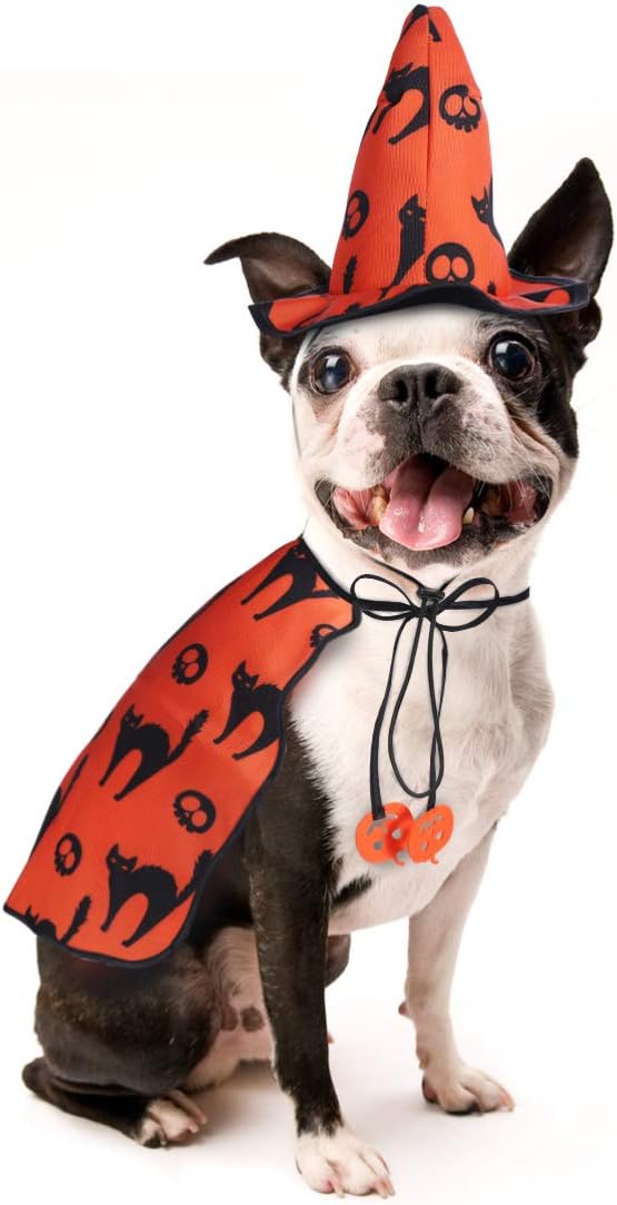 Best Golden Retriever Halloween Costumes (2023) POPETPOP Dog Halloween Costumes