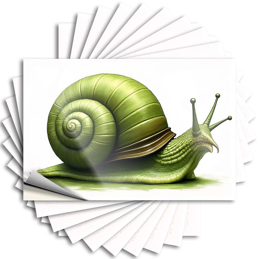 Decal Cheap, Free Cover A Green Snail with A Spiral Shell. | Life(8X12CM)