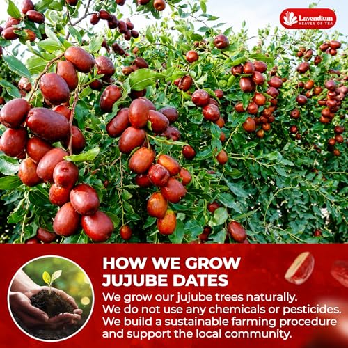 Image of Lavendium, Premium 25oz Dried Jujube Dates, 100% Natural & Pure Red Dates, No Additives or Preservatives, Non-GMO, Gluten-Free, Plant-Based & Vegan, Perfect for Snacking, Tea & Cooking