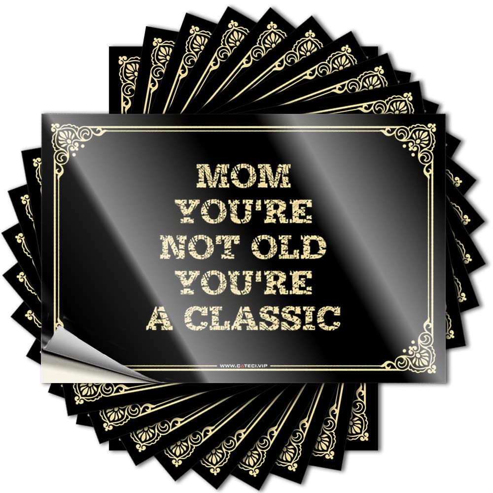 Bumper Garage Southern Mom,You're Not Old,You're A Classic for Autumn - Men Cave Decor Easy Peel Removable(12X18CM)