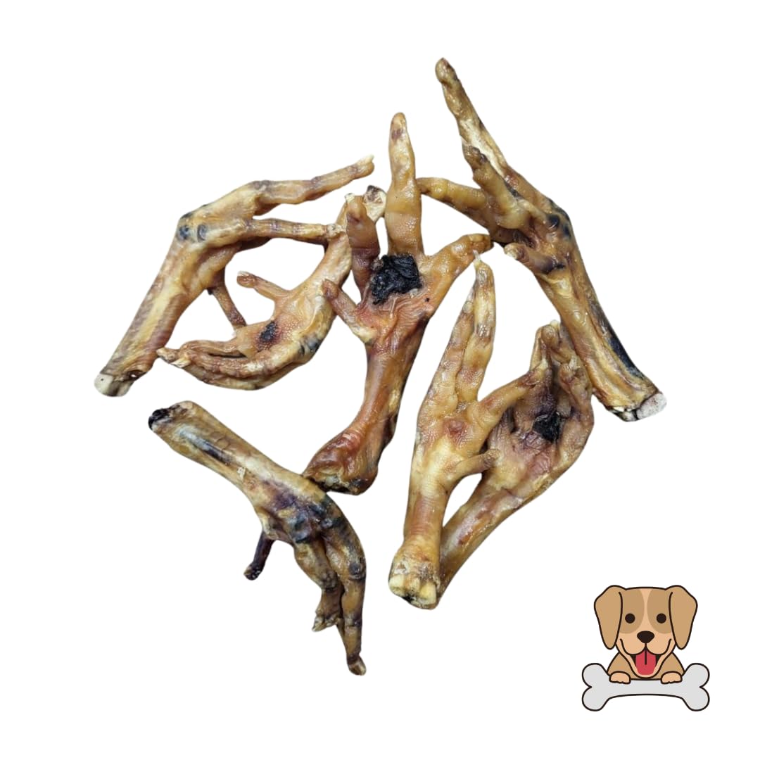Pawsome Snax Chicken Feet for Dogs - PACK SIZE: 125g - Natural Chew Range - Image 3