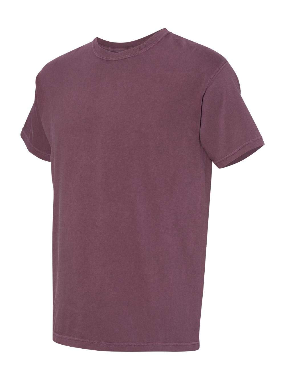 Comfort Colors Men's Adult Short Sleeve Tee, Style 1717 (X-Large, Purple Haze)