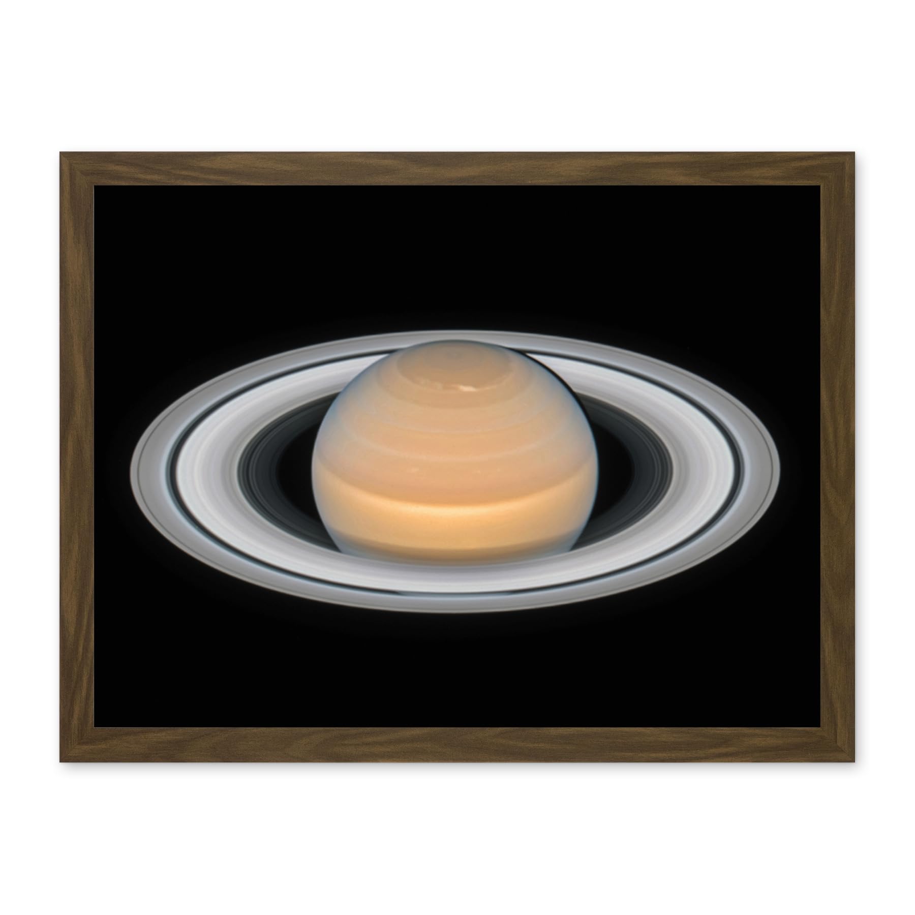 Artery8Hubble Space Telescope Image Saturn Opposition 2018 Portrait Of Opulent Ring World Solar System Gas Giant Planet Artwork Framed Wall Art Print 18X24 Inch