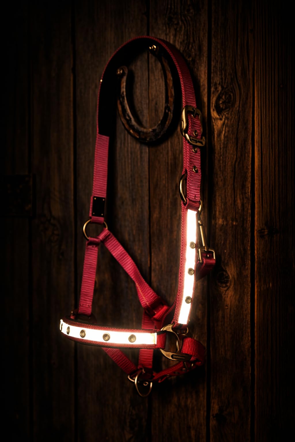 Premium Leuchthalfter Reflexhalfter Sicherheitshalfter Stallhalfter Weidehalfter LED-Nylonhalfter Starlight (Cob, pink/Silber)