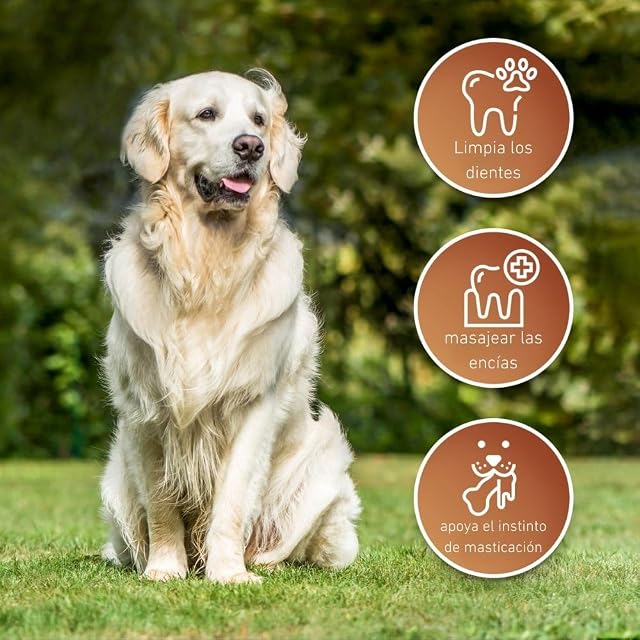 Foto 7 de 8 de Wildfang® Juguetes para Perros de Cuero, Grande